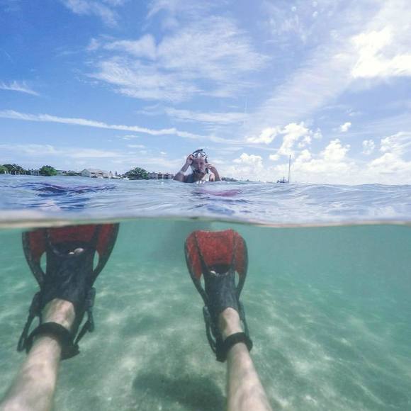 Meet your Posher, Audrey - Picture 1 of 1